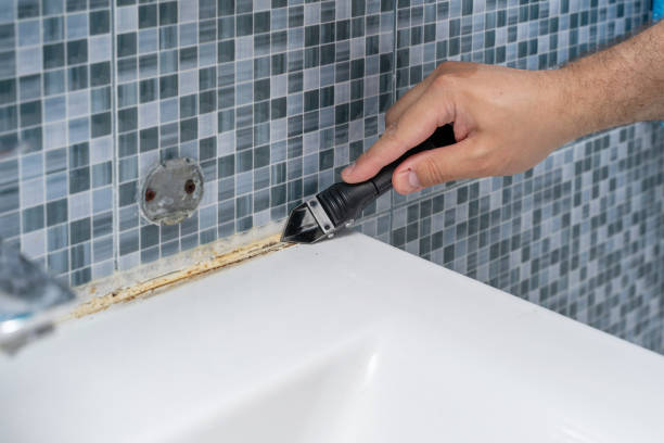 Best Mold Removal Company Near Me  in Melrose Park, IL