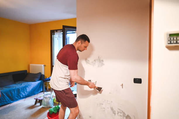 Best Local Mold Removal Service  in Melrose Park, IL